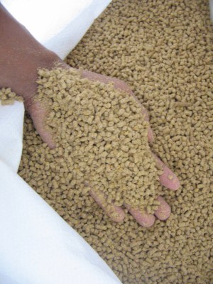 ciri fisik bentuk pellet pakan ternak