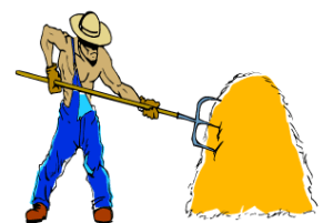 Pengolahan Hijauan Pakan