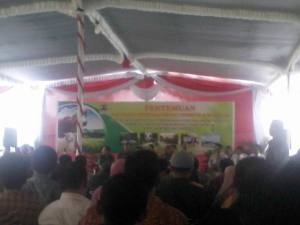 maju peternakan jawa tengah bali deso mbangun deso