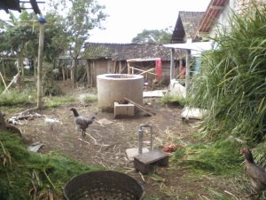 Mengubah Limbah Kotoran Ternak Menjadi Gas..teknologi Biogas