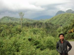 hutan_kalimantan