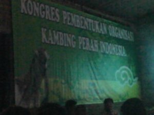 kongres asosiasi peternak