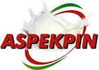 aspekpin