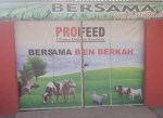 profeed depan