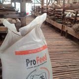 pakan konsentrat kambing