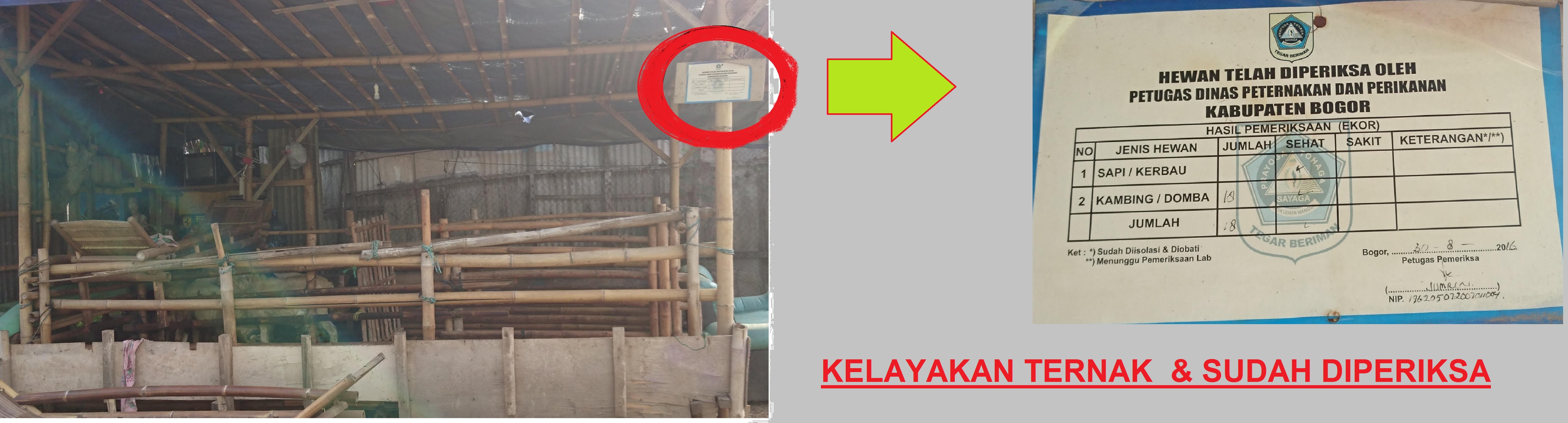 KELAYAKAN LAPAK QURBAN.jpg