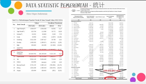wilayah ayam broiler jawa tengah