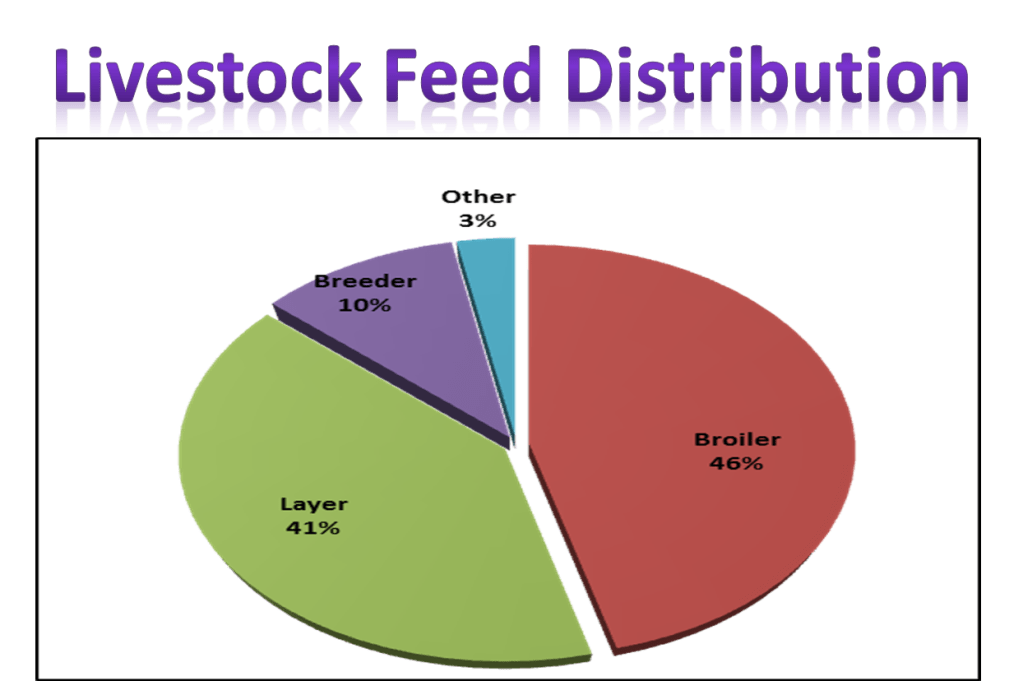 Pakan Ayam VS Pakan&nbsp;Ruminansia
