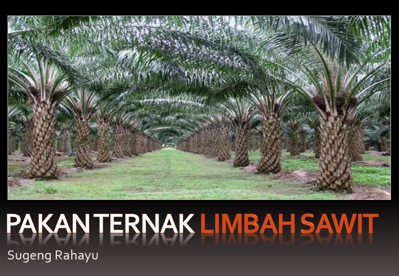 pakan limbah sawit
