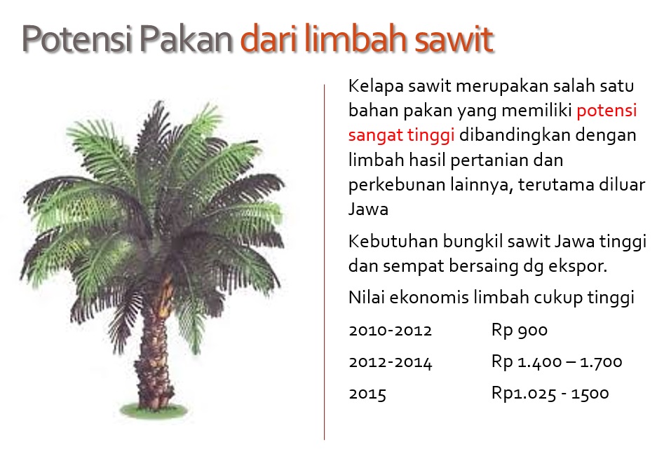 pakan limbah sawit1