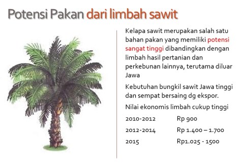 pakan limbah sawit1