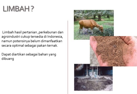 pakan limbah sawit2