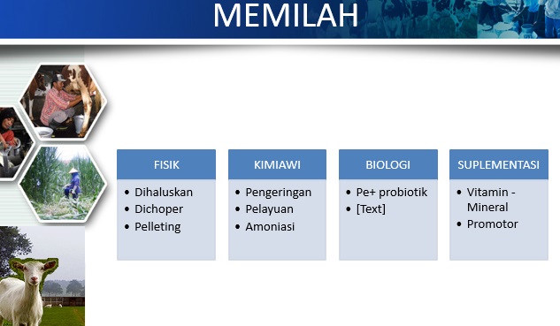 strategi formulasi MEMILAH