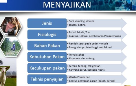 strategi formulasi MENYAJIKAN