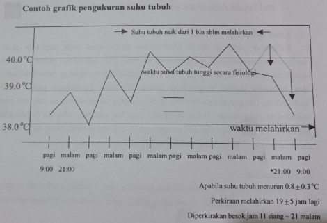 Grafik pengukuran suhu sapi estimasi lahir