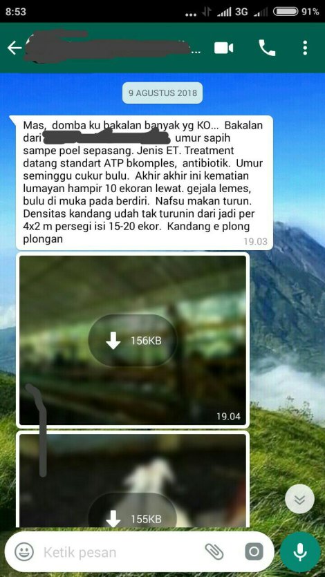 Konsultasi Ternak, Perubahan Musim