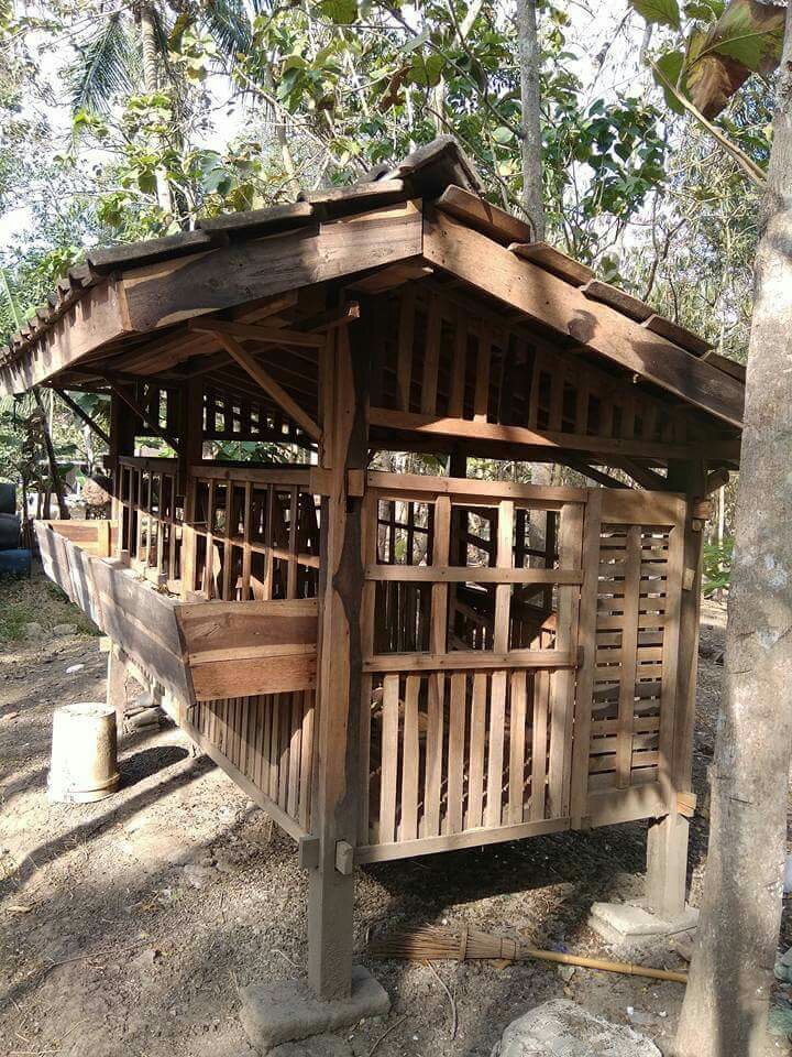 Persiapan kandang menghadapi pancaroba