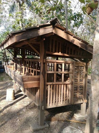 Persiapan kandang menghadapi pancaroba