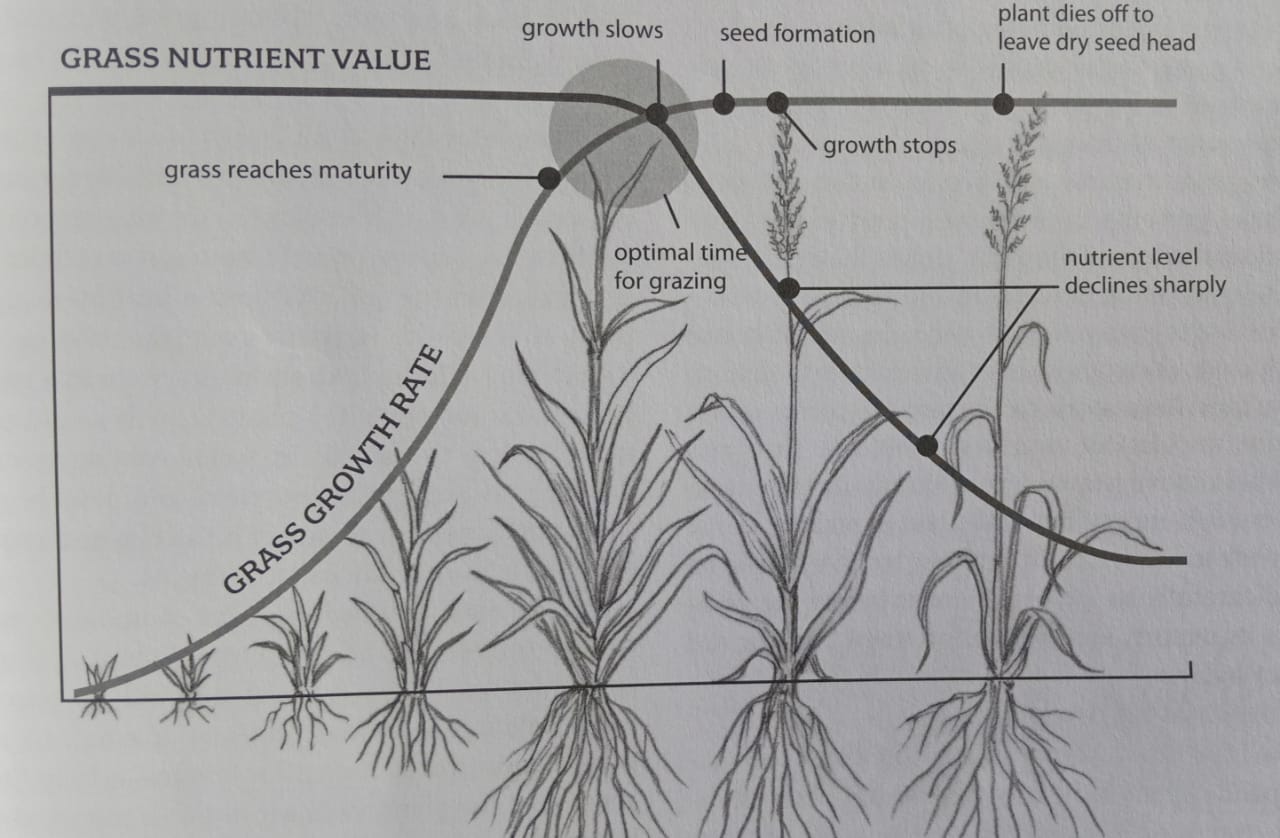 Qualitas dan Quantitas Rumput
