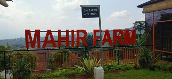 Mahir farm peternakan kambing domba jabar