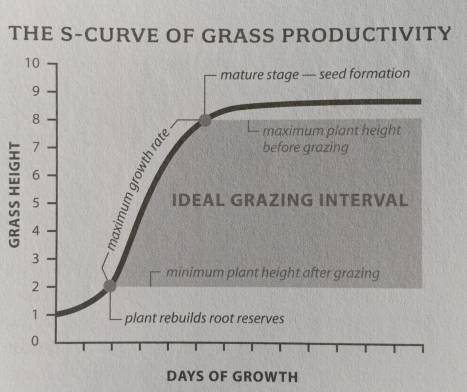 Produktivitas Rumput