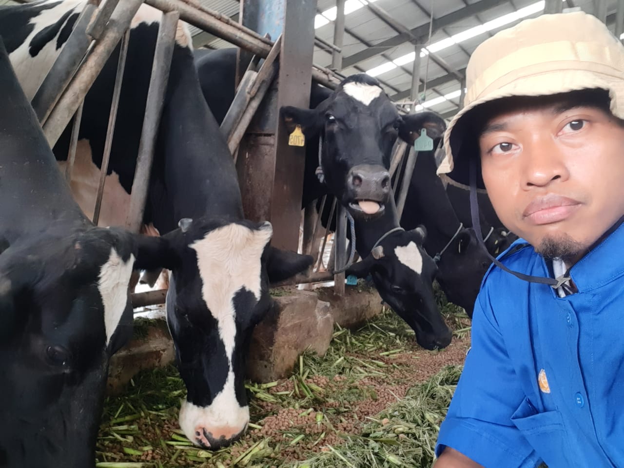 frekuensi pemberian pakan