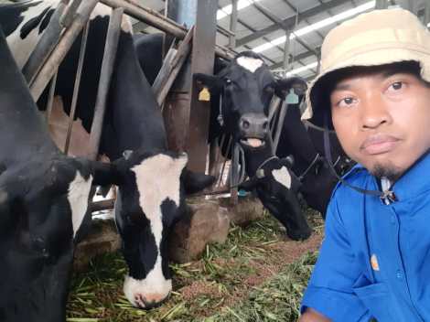 frekuensi pemberian pakan