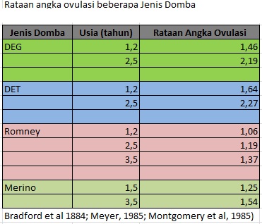 rataan ovulasi pada domba