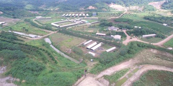 Mini Ranch Equalindo FArm KAltim