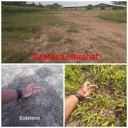 Kondisi Pastura Harus Istirahat