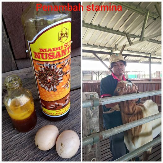 Cekok sebagai langkah preventif dan pengobatan